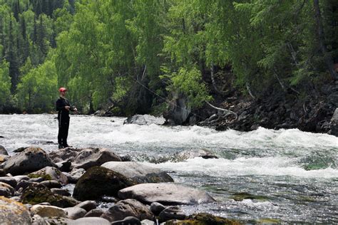 Use our interactive map to search for the best places to <b>fish</b> <b>near</b> you, local fishing spots, and the best places to boat. . Rivers near me to fish
